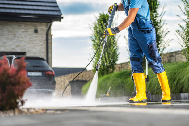 Best Sidewalk and Walkway Cleaning  in Lanse, MI